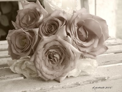 ~ Bouquet in Sepia ~