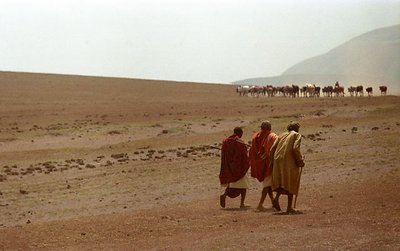 Maasai Herdsmen