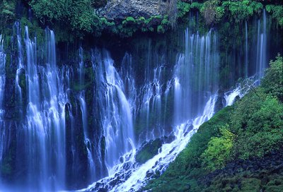 Burney Falls #4