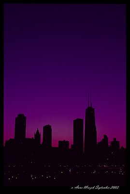 Chicago Skyline1