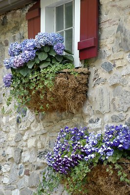 Country Window