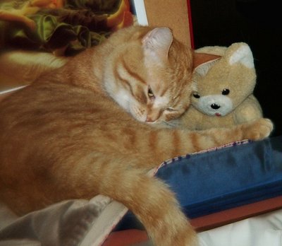 Ginger and her teddy-bear