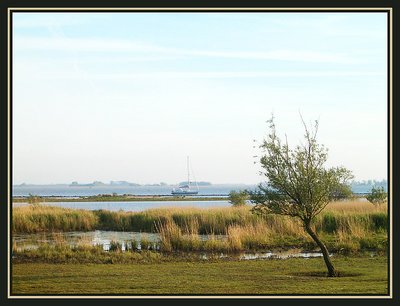 dutch landscape V