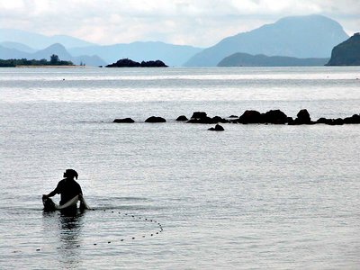 Fisher Samui