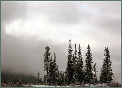 Early Morning Rising Fog