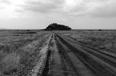 Road To Nowhere