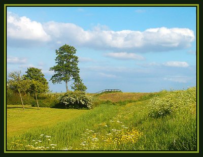 Netherlandscape