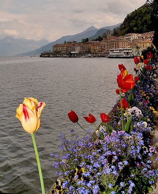 A view of the "real" Bellagio