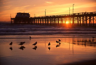 Pier Reflections