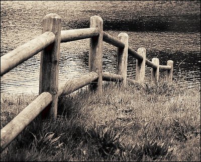 The Fence...