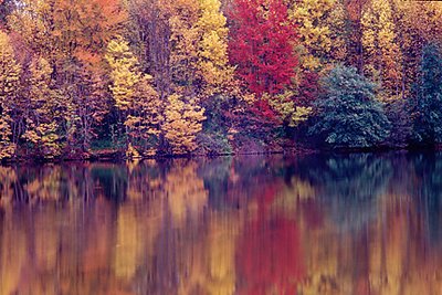 Fall color - Core Creek Park, PA