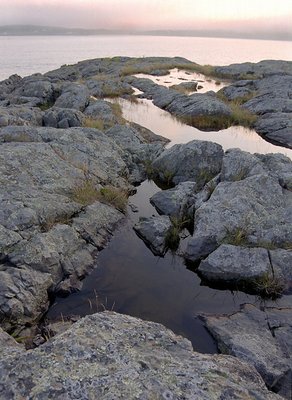 Pathway to the Sea