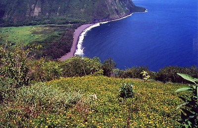 Waipeo Valley