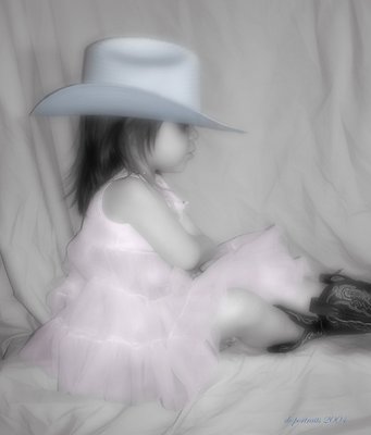 The Cowgirl Blues