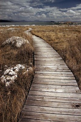 Path to Mono Lake