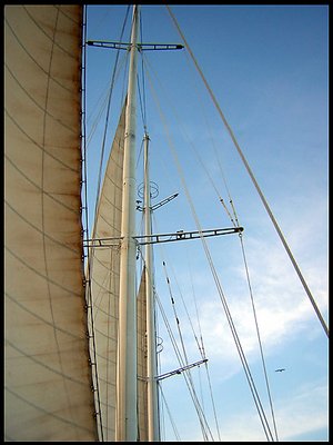 Lines and Sails