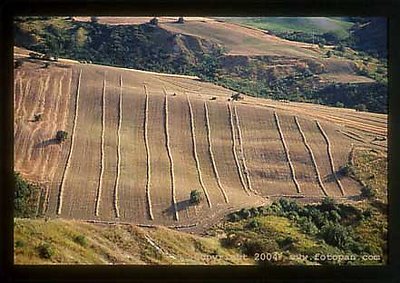  fine art prints Italian landscapes 