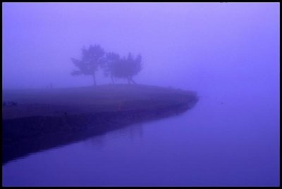 Foggy Golfcourse 