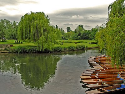 By the riverside