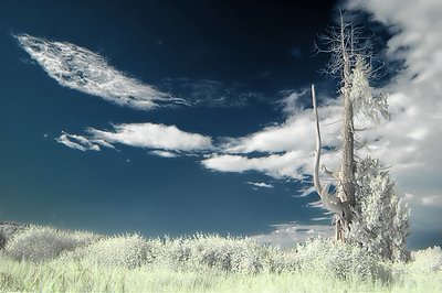 Infrared Country