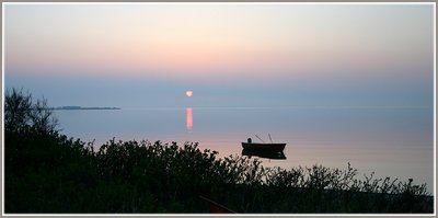 Sunrise shrubbery;