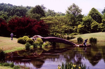 Tree Bridge