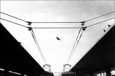 railway lines