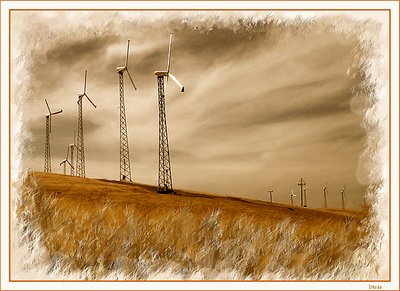 California Windmills