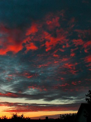 Wide angle view of a special colors sunset.