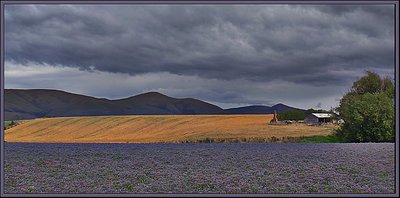 Southland Seed Farm