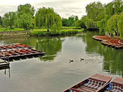 Travel in a Punt