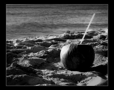 Lonely Coconut