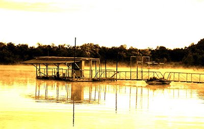 The Old Boat Dock