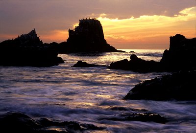 Seal Rock Sunset