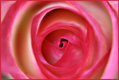 Floral Maze...
