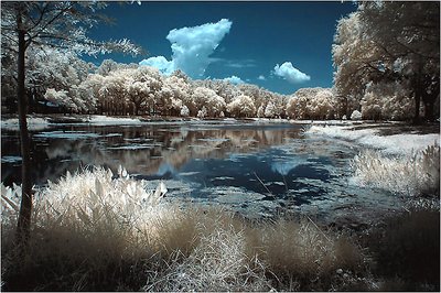 Local pond in IR