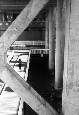 Under the Pier