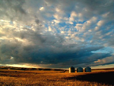 Alberta Gain Silos