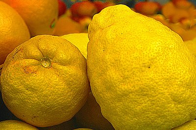 Lemons in Twightlight