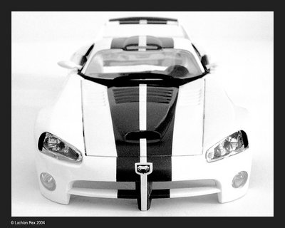 Viper On White