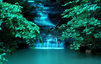 BUSH FALLS AT DUSK