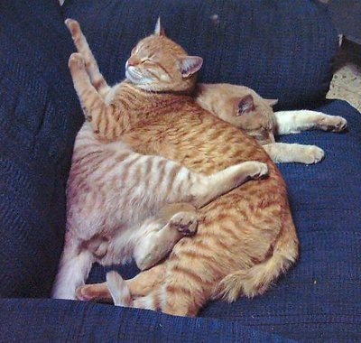 Sleeping hug