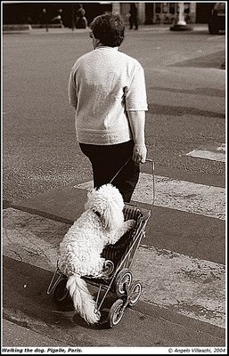 Walking the dog. Pigalle, Paris.