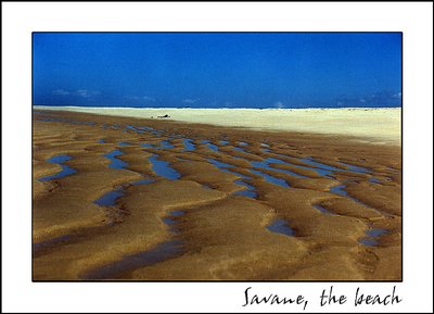 Savane, the beach