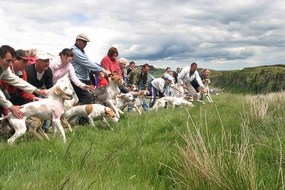 Hound Trail