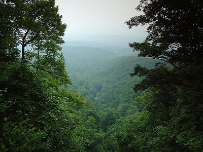 The Appalachians Seen From Amicalola Falls