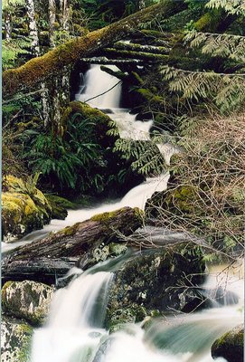 Larsons landing bridge waterfall