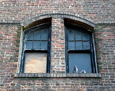 Broken Window