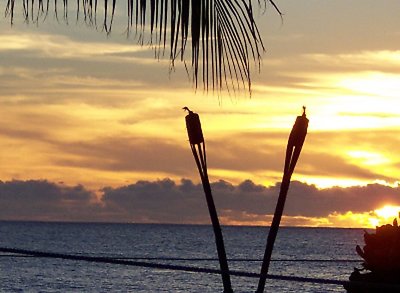 Hawai'ian Sunset