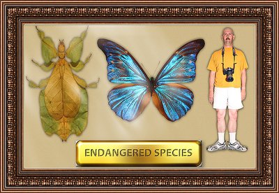 Endangered Species?